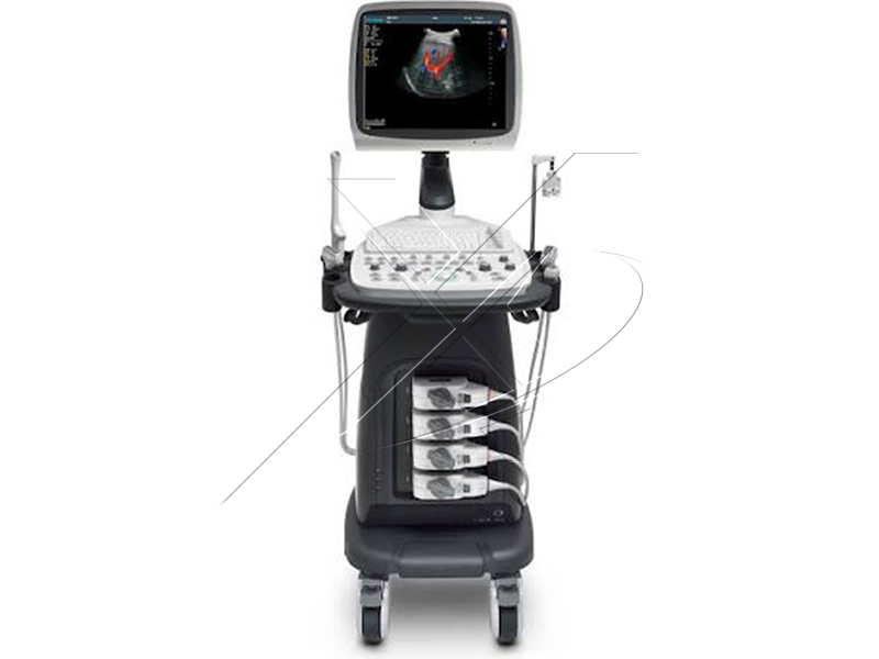 Ultrasound S12